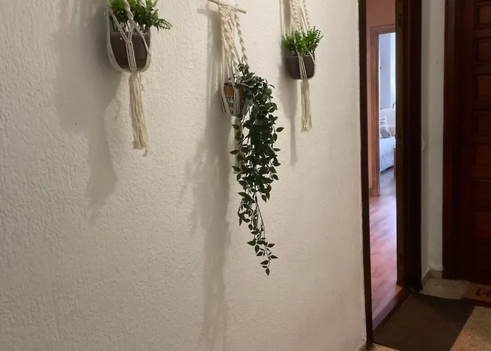 Amplio Apartamento, Playa, Tren Διαμέρισμα *